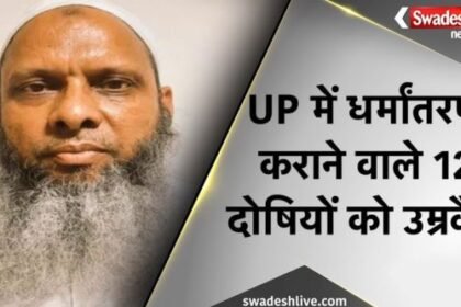 UP News