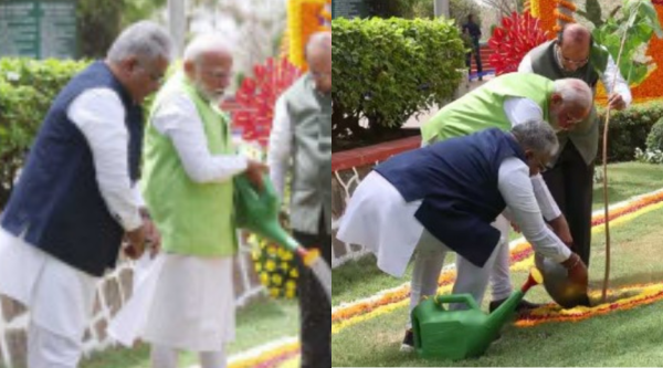 One tree in the name of mother