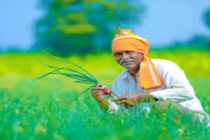Government is providing free quality seeds with better yield to farmers