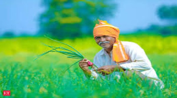 Government is providing free quality seeds with better yield to farmers