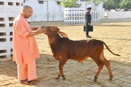Saving money along with virtue, along with conservation and promotion of cow progeny is the aim of the government.
