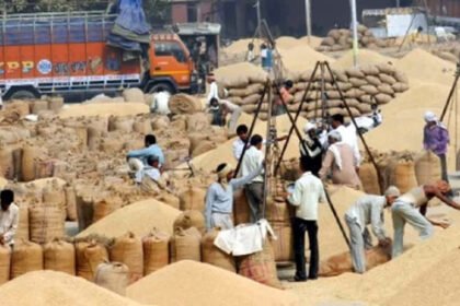 More than 21 lakh metric tons of paddy purchased so far