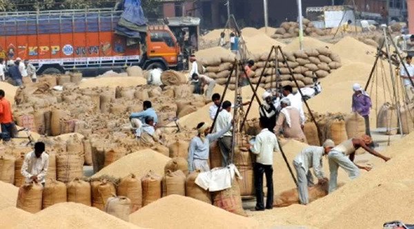 More than 21 lakh metric tons of paddy purchased so far