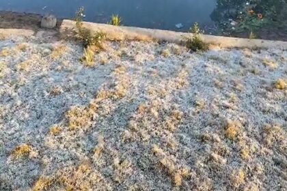 अमरकंटक में बर्फबारी: शून्य की करीब पहुंचा पारा, ज़मीन पर बिछी सफेद चादर