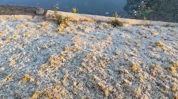 अमरकंटक में बर्फबारी: शून्य की करीब पहुंचा पारा, ज़मीन पर बिछी सफेद चादर