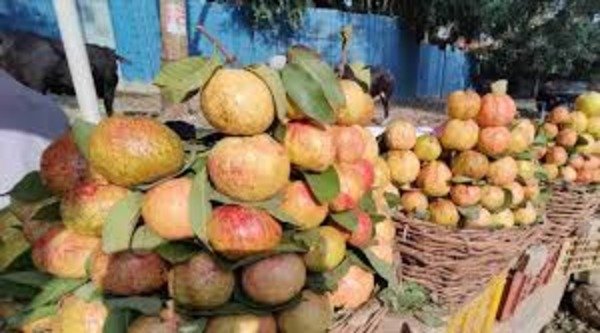 Mahaprasad of Bade Hanuman Temple will be distributed to devotees in Maha Kumbh