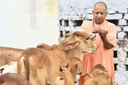 Yogi government's focus on pasture development in villages to increase livestock productivity