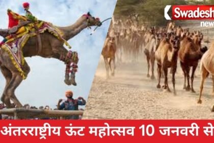 International Camel Festival from January 10, foreign tourists will also participate