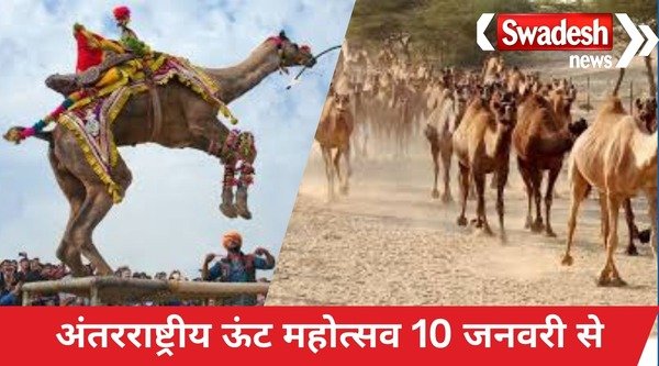 International Camel Festival from January 10, foreign tourists will also participate