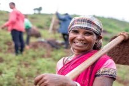 Modi government's gift to farmers, announcement on DAP, will subsidy be cheaper?