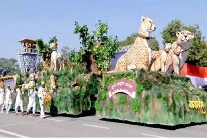 We are proud of the historic restoration of cheetahs: Chief Minister Dr. Yadav
