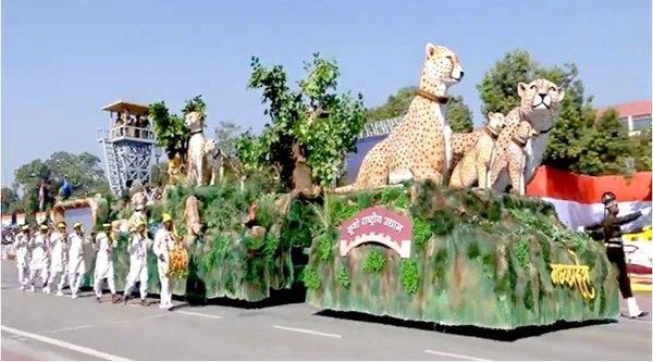 We are proud of the historic restoration of cheetahs: Chief Minister Dr. Yadav