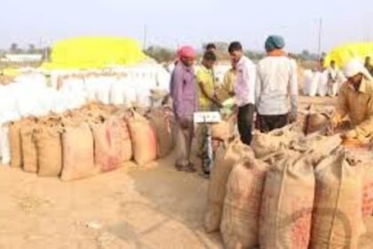 Paddy purchase at support price till 23 January