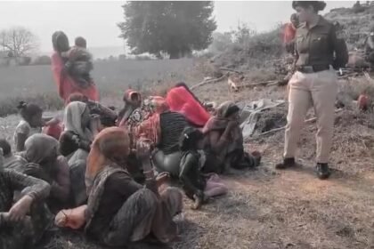 A fire broke out due to unknown reasons in a grass hut built in a field.