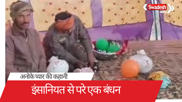 कुतिया से अनोखा प्रेम: इंसानियत से परे एक बंधन