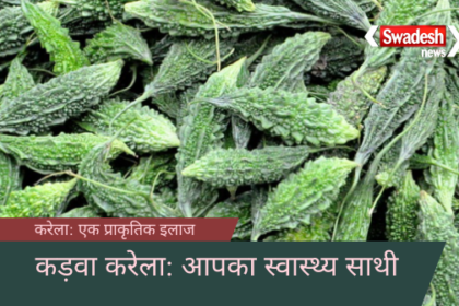 कड़वा करेला: एक प्राकृतिक इलाज