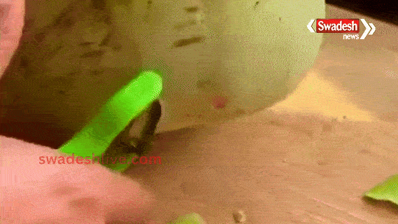 Amazing Benefits of Bottle Gourd Juice: Consumption is a boon in this season