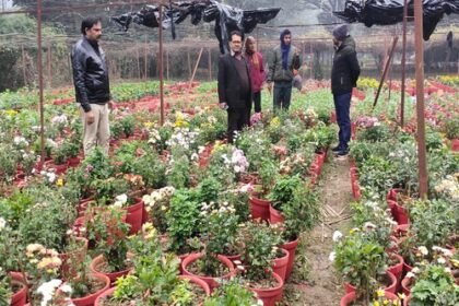 Mahakumbh area will be fragrant with the fragrance of colorful flowers, more than 25 thousand pots will be kept