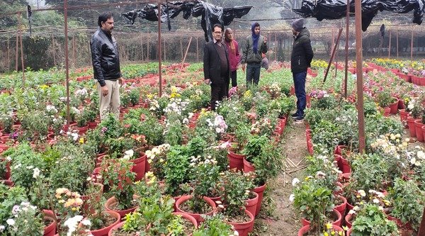 Mahakumbh area will be fragrant with the fragrance of colorful flowers, more than 25 thousand pots will be kept