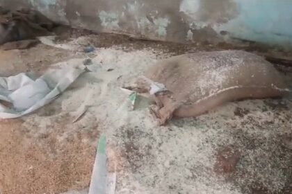 Bhind: Poor people's ration looted