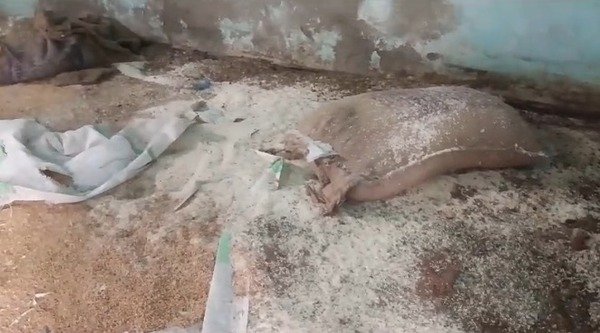 Bhind: Poor people's ration looted