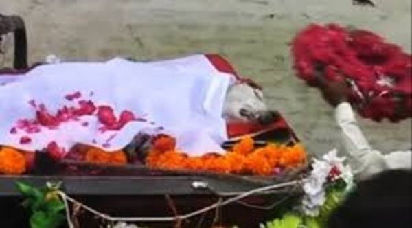 Rajgarh: So much love for animals, I did the thirteenth thing on the death of the dog..!