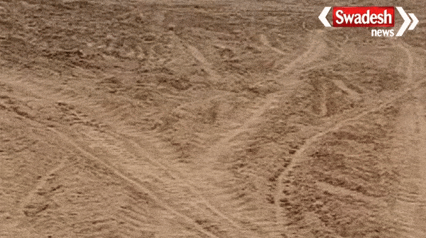 Chambal river is being exploited indiscriminately in Morena district of Madhya Pradesh, a restricted area protected and protected for crocodile sanctuary.