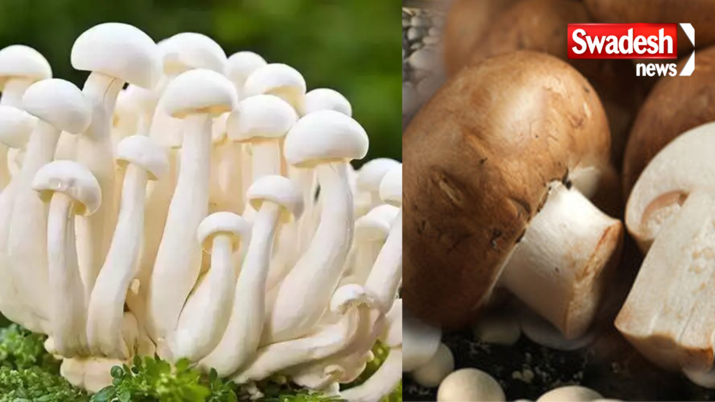 Mushroom is an immunity booster, also keeps hair healthy