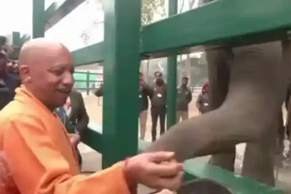 Elephant Rescue Center