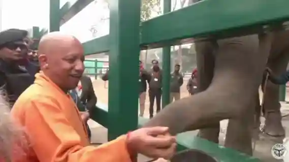 Elephant Rescue Center