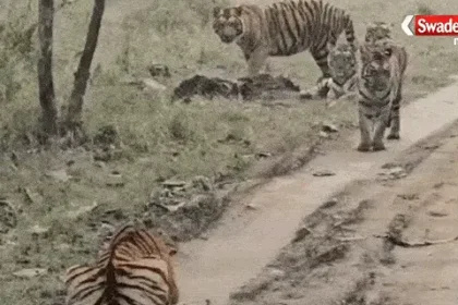 Former Excise Minister Kawasi Lakhma arrested