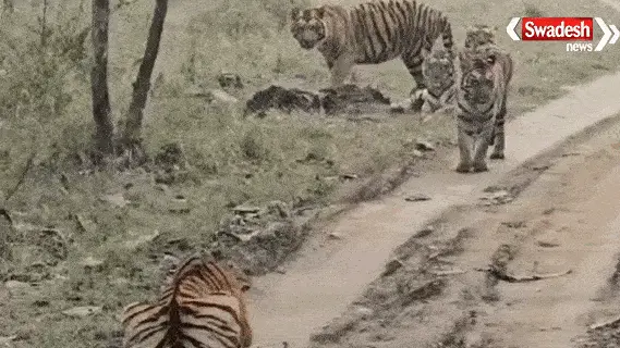 Former Excise Minister Kawasi Lakhma arrested