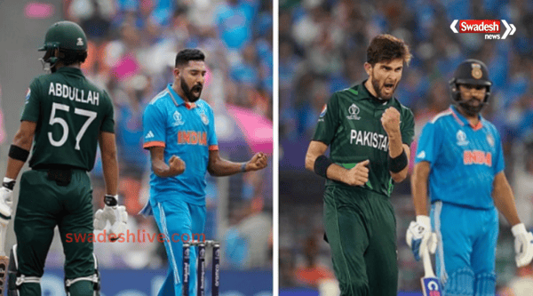 Food twist with cricket battle