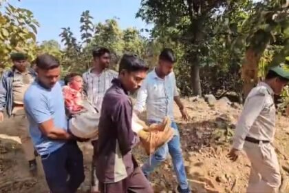 Forest worker injured in bear attack dies, even after treatment his life could not be saved