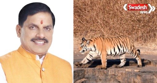 Madhya Pradesh will soon get its 9th Tiger Reserve: Chief Minister Dr. Yadav