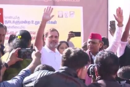 against ugc Demonstration of DMK students, supporters of Rahul Gandhi