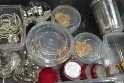 Vicious thief gang arrested