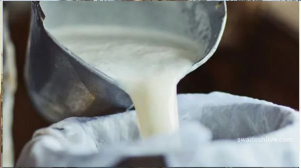 Big achievement of the state government in the field of milk production