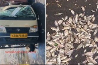 Raipur: Speeding vehicle overturns on Airport Road, fish spread on the road