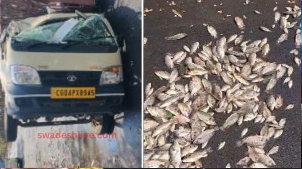 Raipur: Speeding vehicle overturns on Airport Road, fish spread on the road