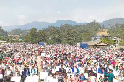 1978 का कानून