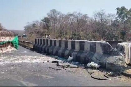 Horrible road accident on National Highway 44, truck full of chickens overturned, two injured