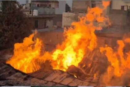 Huge fire in a wood saw mill in Gohana, loss of lakhs