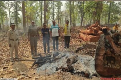 Gariaband: Sensation due to finding burnt body parts in Hathbai forest, murder?