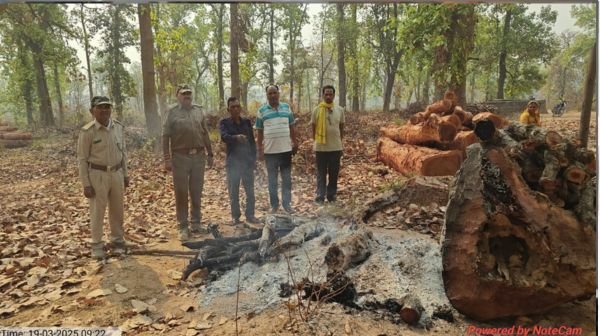 Gariaband: Sensation due to finding burnt body parts in Hathbai forest, murder?