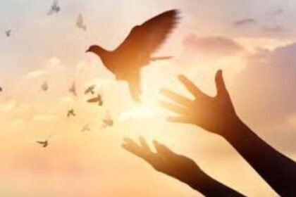 Forgiveness: A boon for mental and physical health