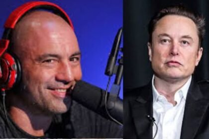 Podcaster Joe Rogan buys custom Tesla, Elon Musk reacts
