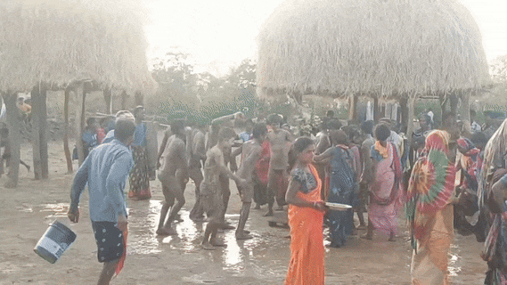 Surguja: Unique tradition, welcoming the wedding party by rolling in the mud