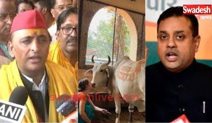 Uproar over Akhilesh Yadav's 'stench and cowshed' statement