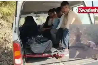 Cruelty of Kaliyug son: Father murdered, cousin also attacked